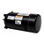 Century Full-Rated Two-Compartment Pool Filter Motor .75 HP 3450 RPM 115/230 V 56J, ST1072