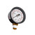 Pentair .25" Bottom Mount Pressure Gauge, 15060-0000T