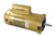 Hayward Threaded Shaft Max-Rated Motor 2.5 HP, 230 V, 60 Hz, SPX1620Z1M (SPX1620Z1M)