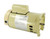 Pentair Square Flange Motor 1HP Energy Efficient 115V/208V 230V, Almond, 355010S