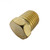 Pentair P24950 .25" Plug Pipe Brass, 071551