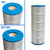 APC Filter Cartridge 7" X 20" 80 Sq/Ft, Pack of 4, APCC7260Q