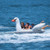 Solstice Lay-on Swan Towable, 22301