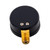 Paramount Water Valve Top Dome Assembly with PSI Gauge, 005-302-4300-0