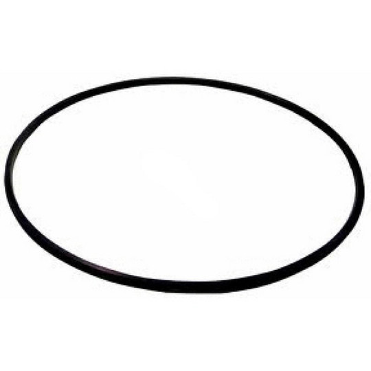 ヨ◯シー　2/2 Hayward Filter Tank O-Ring, Metal Reinforced, DEX2422Z2 - EZ Pool
