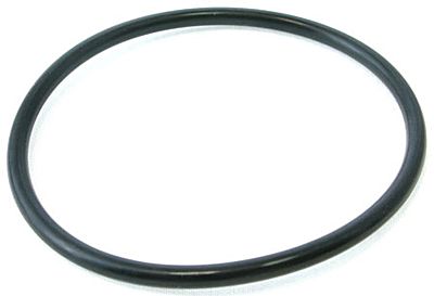 Pentair Plus Stand Pipe O-Ring, 59000600Z- EZ Pool & Spa Supply