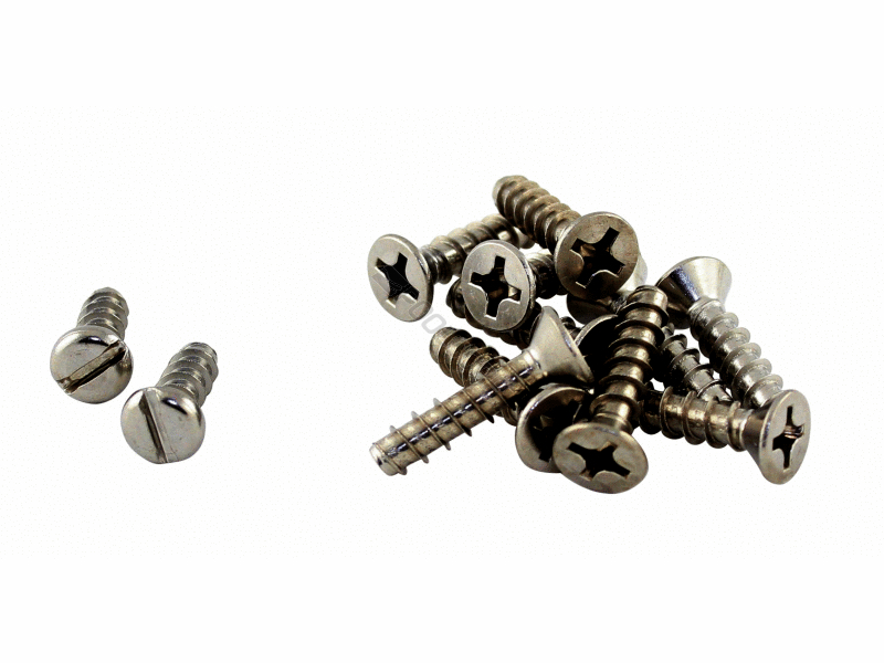 Hayward Face Plate Self-tap Screws, Set of 10, SPX1090Z1A - EZ