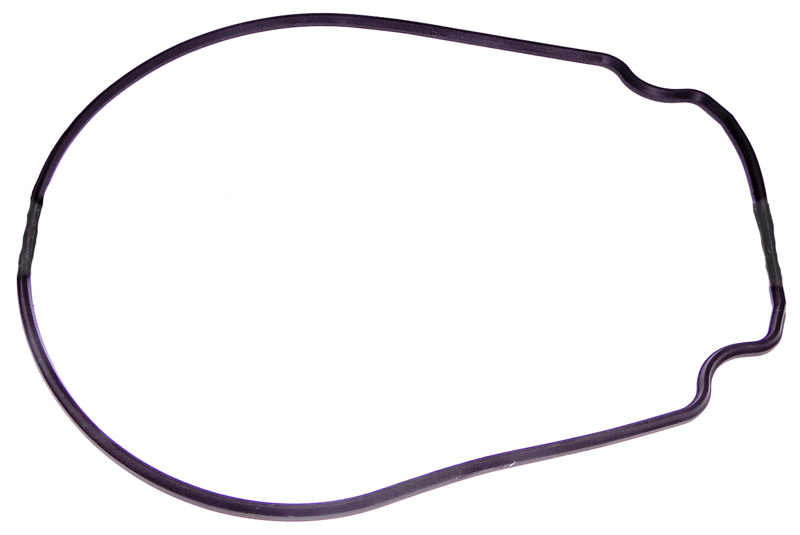 APC Zodiac Gasket, Pump Body JHP-PHP Series, R0555900 - EZ Pool