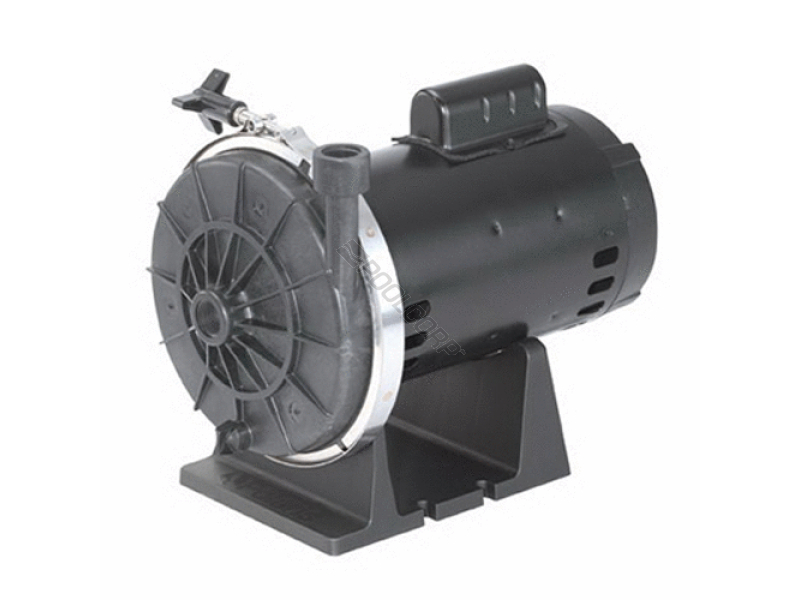 Parts Pump Parts Jandy & Zodiac Pool Pump Parts Page 1 EZ Test