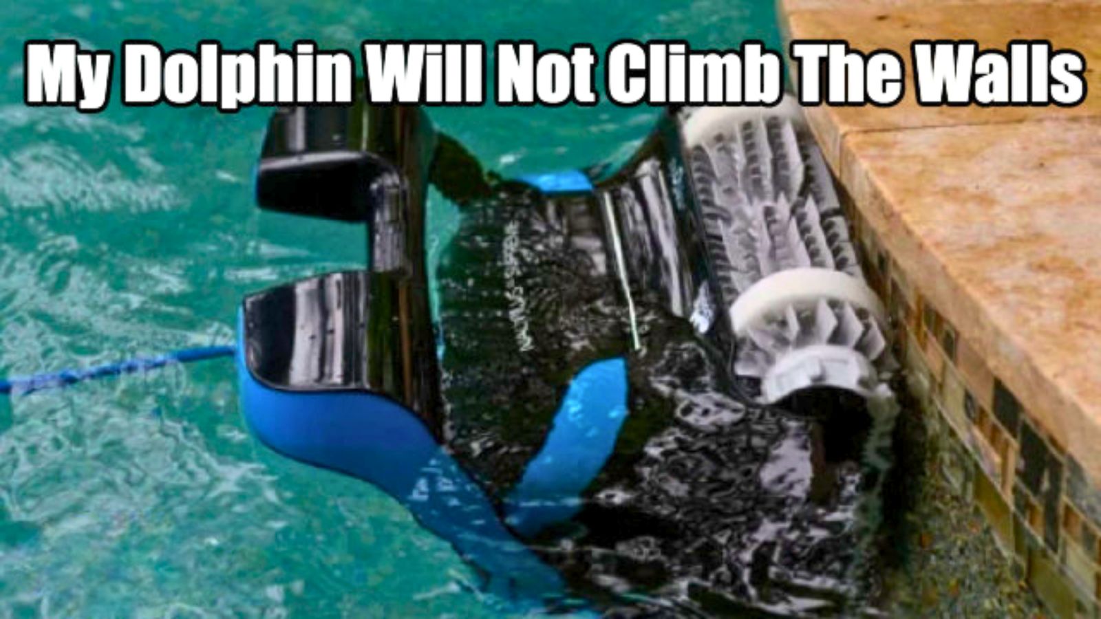 Dolphin M400 Not Climbing Walls: Quick Fixes to Restore Power