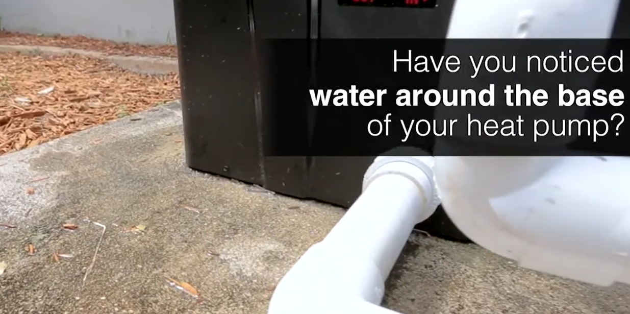 Water Heater Pump Leaking: Quick Fixes to Stop the Drip Now