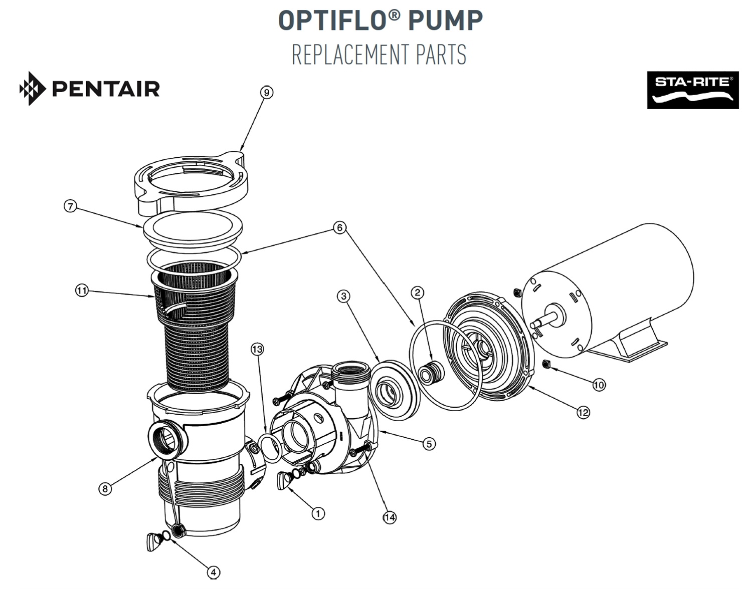 Pool Pumps With Five-Star Reviews ⭐️ - Pool Parts To Go