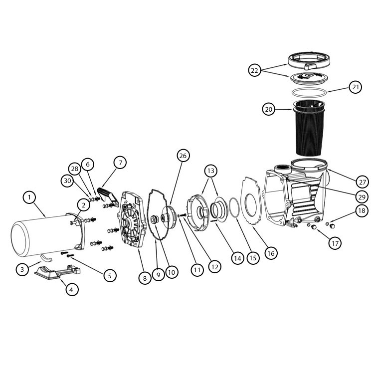 Waterway Champion/SMF Pump Lid & Nut & O-Ring - 319-4100