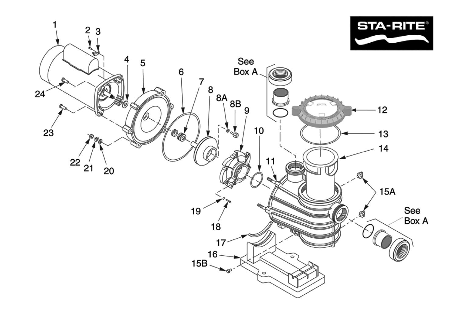 Sta-Rite Max-E-Pro/IntelliPro/Dyna-Pro Pump Lid O-Ring (#35505-1440)