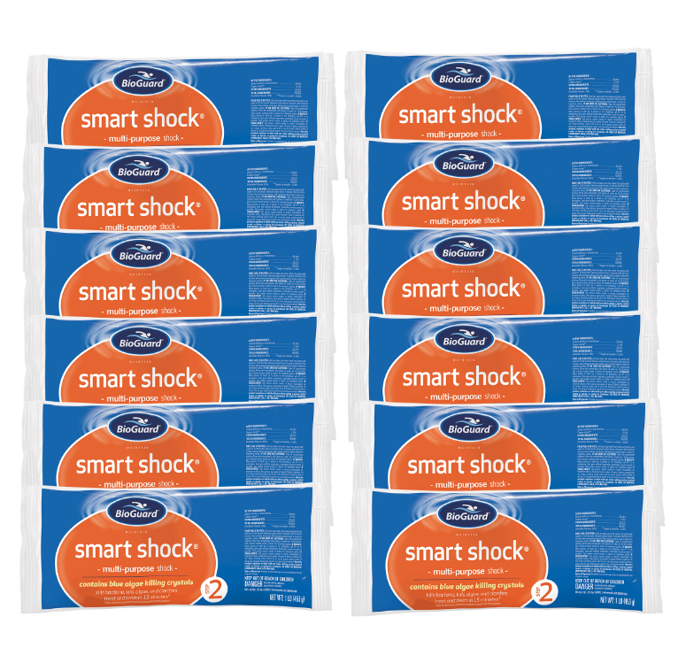 BioGuard Smart Shock (12 Bags, 12 lbs.) - EZ Pool & Spa Supply