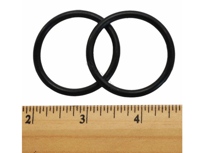 Pentair Wall Fitting O-Ring, Pack of 2, E21 - EZ Pool & Spa Supply