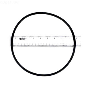 Pentair XF Series Pump Seal Plate O-Ring, 351446Z - EZ Pool & Spa Pentair XF Series Pump Seal Plate O-Ring, 351446Z - EZ Pool & Spa