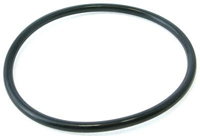 Pentair Plus Stand Pipe O-Ring, 59000600Z- EZ Pool & Spa Supply