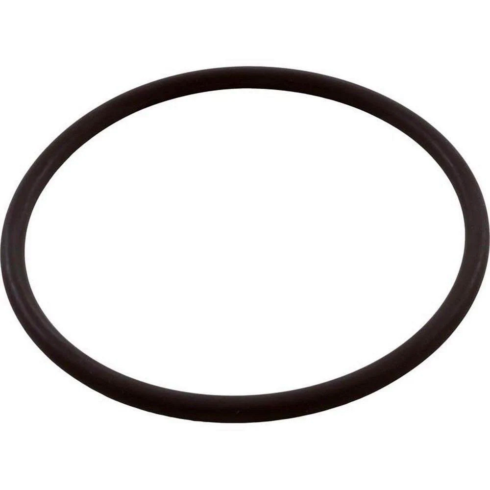 Zodiac R0586300 Fusion Tri Lobe O Ring - EZ Pool & Spa Supply