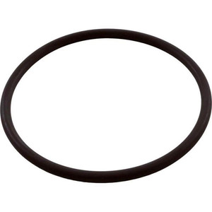 Zodiac R0586300 Fusion Tri Lobe O Ring - EZ Pool & Spa Supply