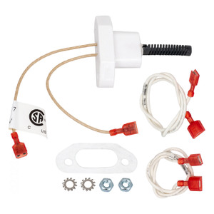 Zodiac Jandy Hi-E2 Igniter Assembly, R0457503 - EZ Pool & Spa Supply