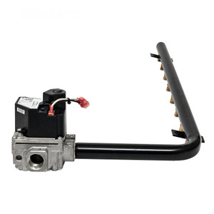 Hayward H400 FD Series LP to NA Gas Conversion Kit, FDXLGCKW400PN