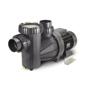 Speck Pumps 95-XI Single Speed Full Rated Commercial Pool Pump