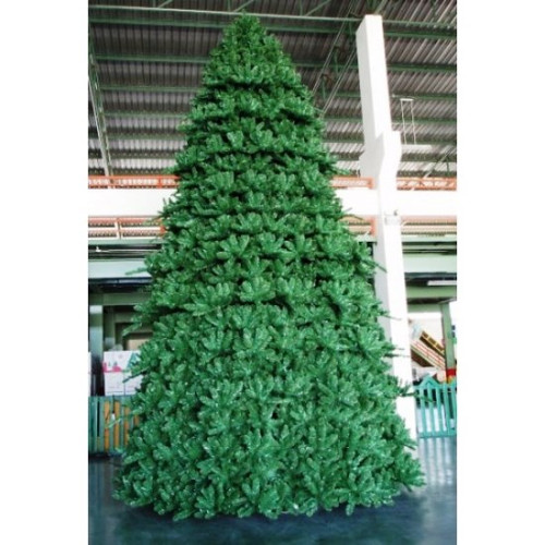 Paramount Spruce Tree Outdoor 6m