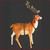 The Polyresin Reindeer for Sleigh Jumbo is a beautiful reindeer and a must in your Christmas display. Large Christmas decor at its best there is a matching Sitting Santa and Rearing Reindeer for the Sleigh Jumbo which are used in shopping centres and at many events where Santa will arrive and be involved in a photo shoot. The Reindeer for Jumbo Sleigh looks so impressive as it truly looks like the reindeer is about to take flight to the sky. Large Christmas décor that allows you to turn you imagination into reality in a beautifully elegant way. Santa loves the Reindeer for Jumbo Sleigh as kids adore naming the reindeers one by one. A reindeer would be so lonely by itself in front of the sleigh so we recommend you buy at least 2 of them to pull the sleigh.
