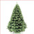 Pitch Pine New Growth Blue 2.44m