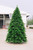 Vienna Spruce 3.05m Hunter Green Christmas Tree