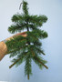 Slim Glendale Pine Christmas Tree 2.13m