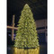 Paramount Spruce Indoor Tree 6m Pre-Lit with LED Lights