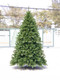 Vienna Spruce 2.59m Hunter Green Christmas Tree