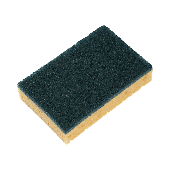 95020054 - Astree 54 Rectangular Scouring Sponges