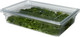 FG330200CLR - Rubbermaid ProSave Food Box Lid - Clear - Fitted to ProSave Food Box