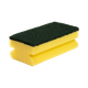 95020021 - Astree 21 Ergonomic Scouring Sponges - Pack of 10