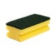 95020021 - Astree 21 Ergonomic Scouring Sponges
