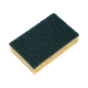 95020054 - Astree 54 Rectangular Scouring Sponges