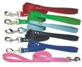 Signature Leather Dog Leads