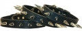 Single Row Liberty Latigo Spike Collars