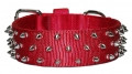 Nylon Dog Collars