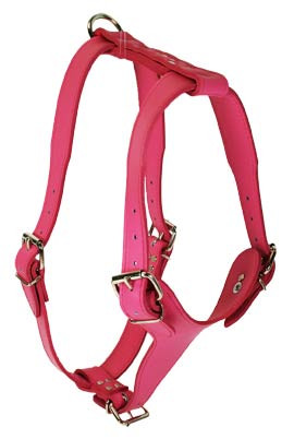 Signature Leather Harness