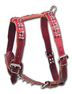Latigo 2-Ply Leather Harness