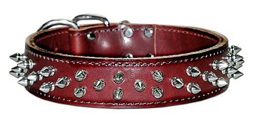 Latigo Full Spikes Protector