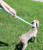 Over the Shoulder Lead