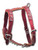 Latigo 2-Ply Leather Harness