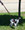Two Dog Lead