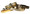 Gold Lead with Matching Collar and Bronze Collar.