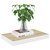  Floating Wall Shelves 4 pcs Oak and White 15.7"x9.1"x1.5" MDF A949-326572